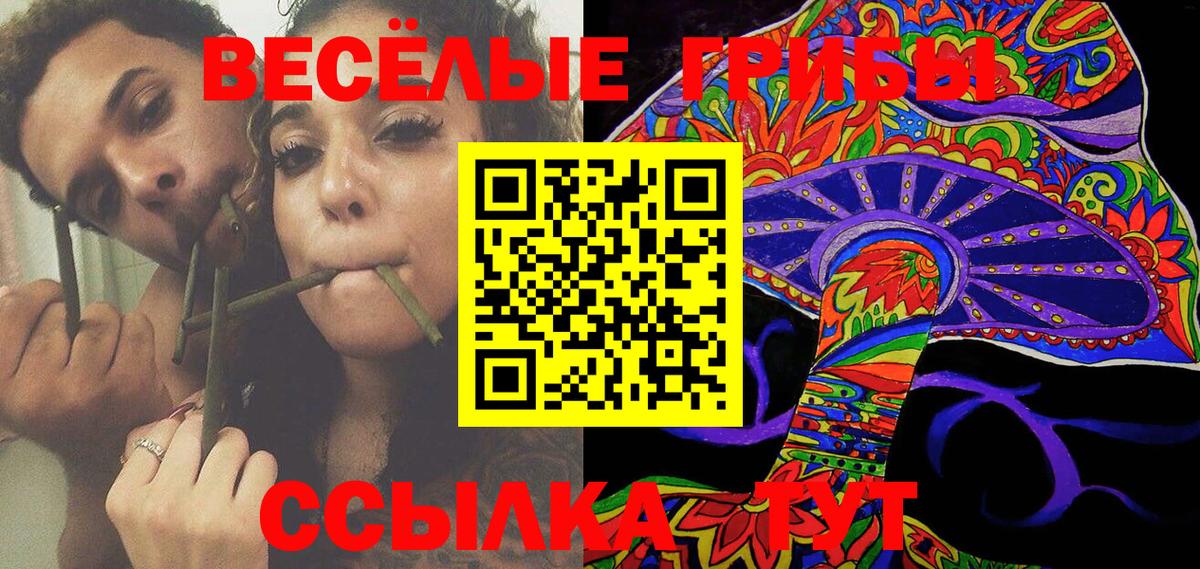 Нижнеудинск  Псилоцибиновые грибы MAGIC MUSHROOMS  Псилоцибиновые грибы ЛСД  Вход с VPN 