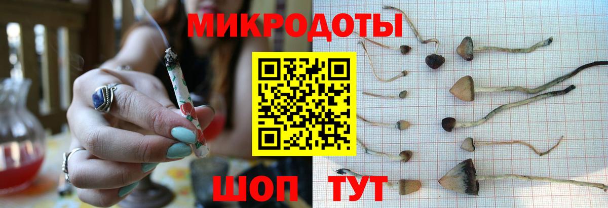 Галлюциногенные грибы Psilocybe Нижнеудинск